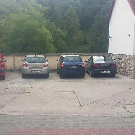 Cerny Kohout * Praga