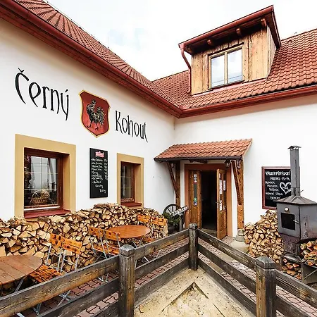 Cerny Kohout Apartament Praga